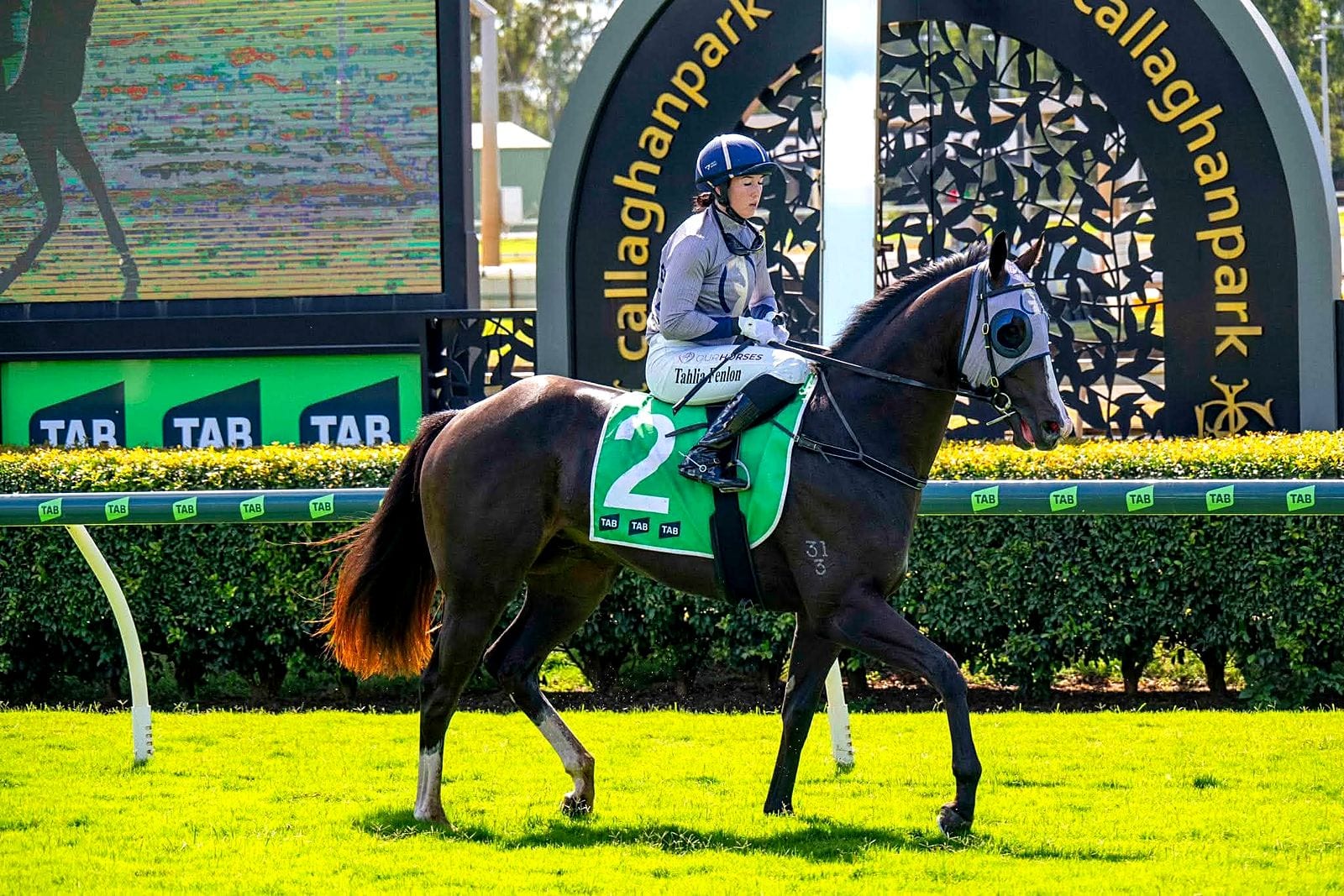 Parade ring