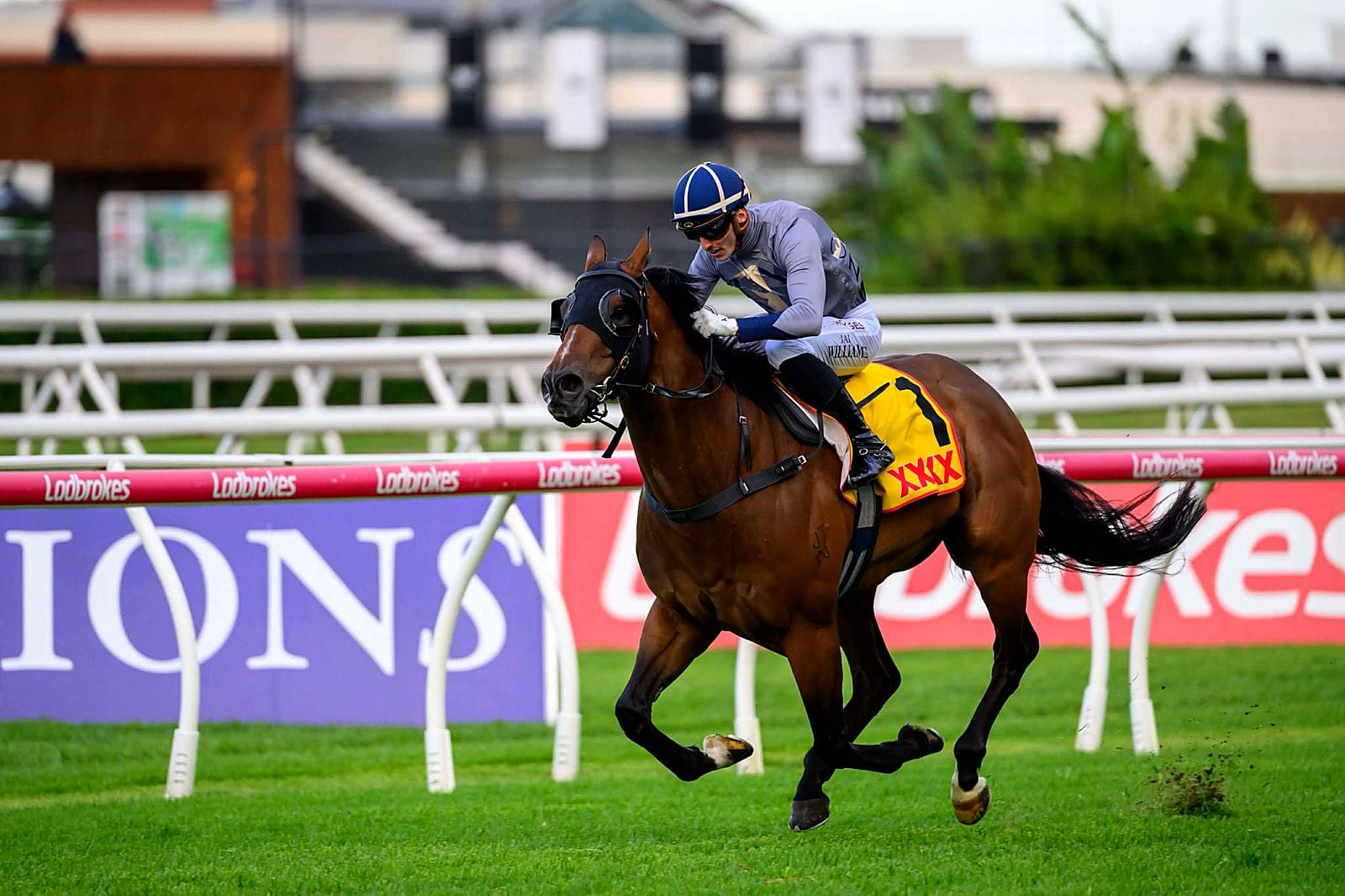 Winning at Doomben